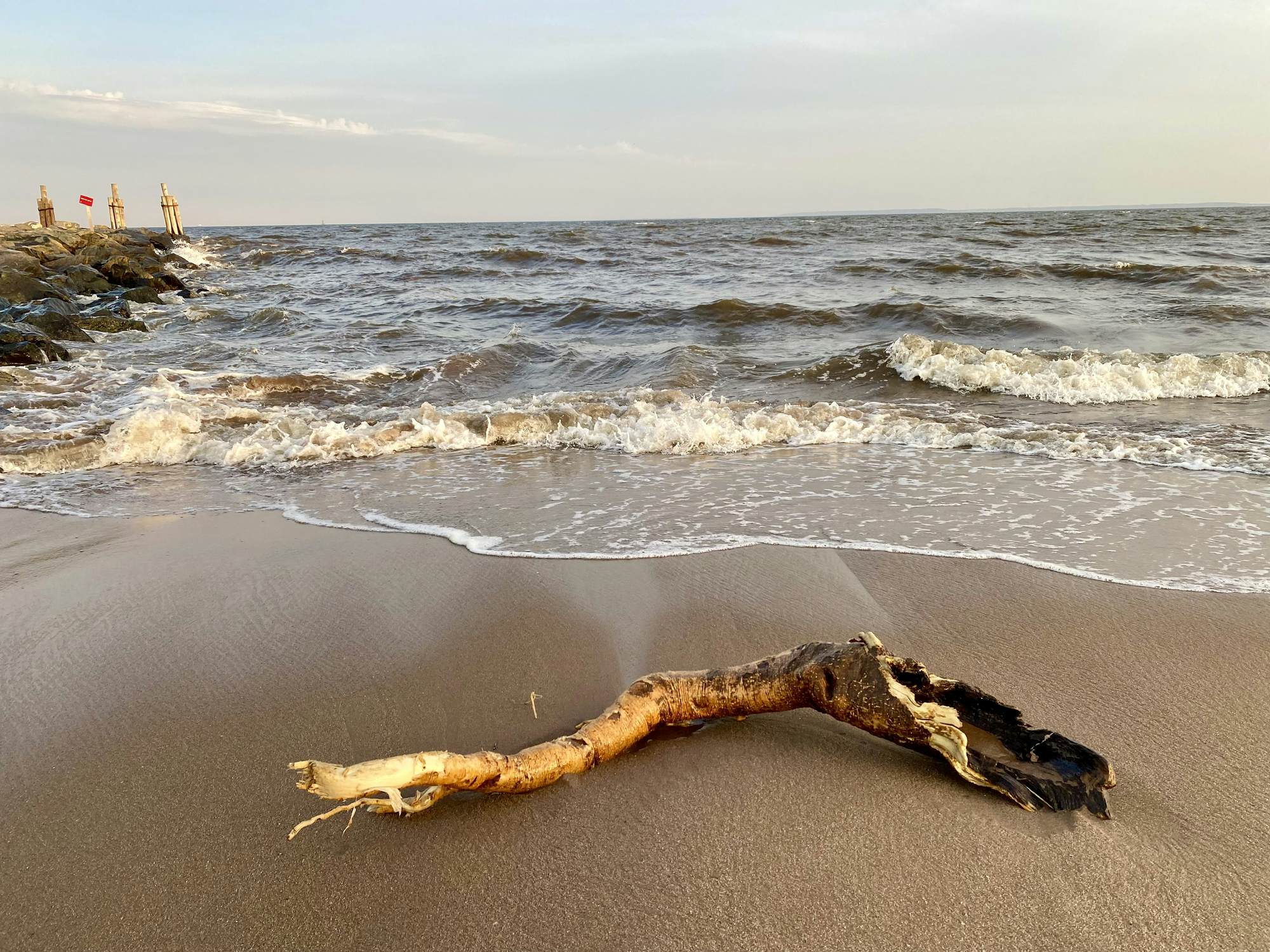 Best things to do in Staten Island Lonely